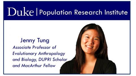 Picture and title of Tung